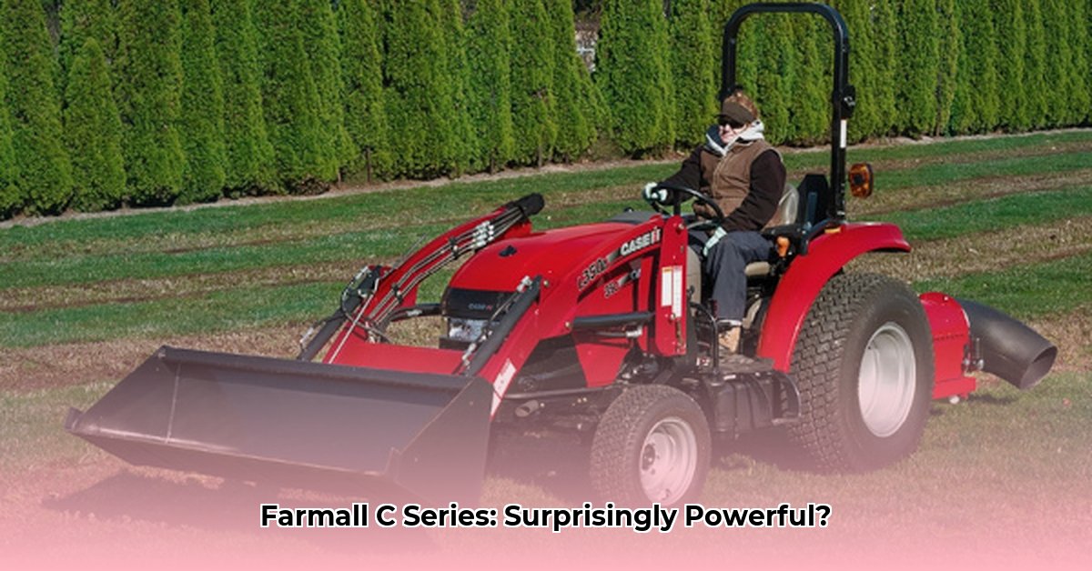 small-case-tractors